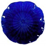 pjate-blu.jpg