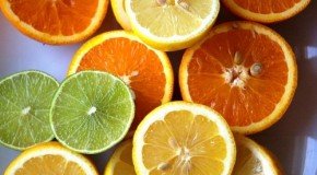 Top 6 Vitaminat Per Dimer