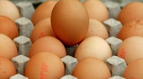 Te Bardhet e Vezes ndihmon Në Uljen e Shtypjes se Gjakut!